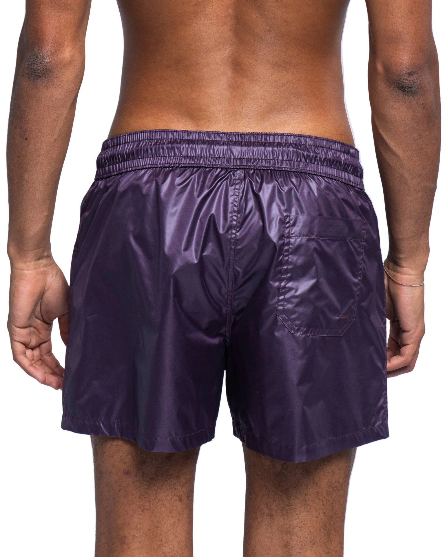 Boxer Unito Prugna
