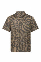 Safari